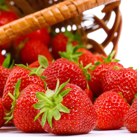 10 szt. Truskawka Florence odporna na choroby późna - Sadzonki